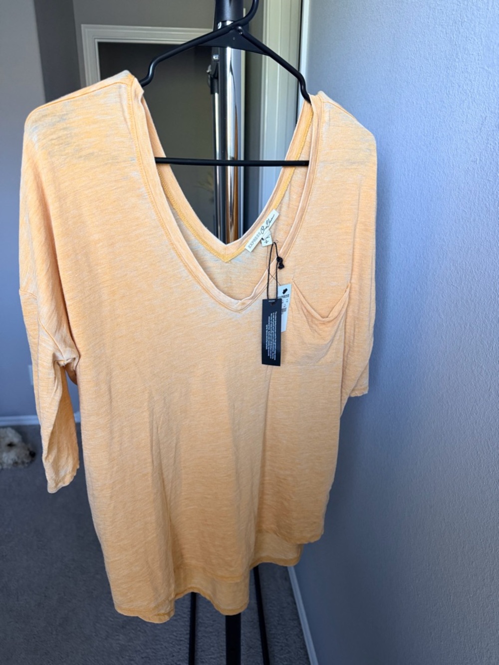 Express Peach V-Neck Short Sleeve Tee with Pocket
